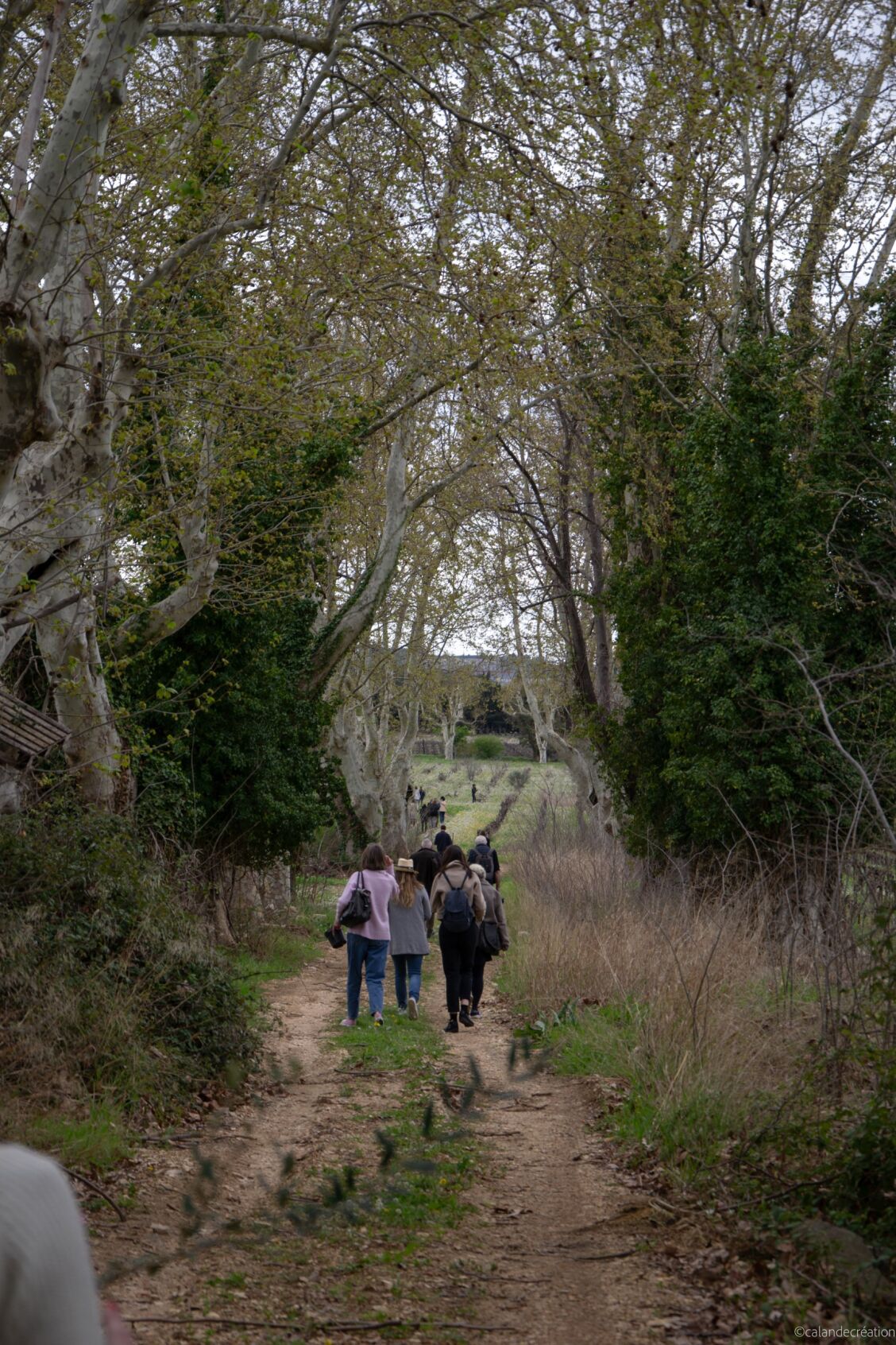 Un groupe de personnes marche sur un chemin de campagne